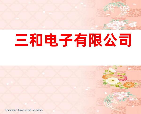 三和电子有限公司