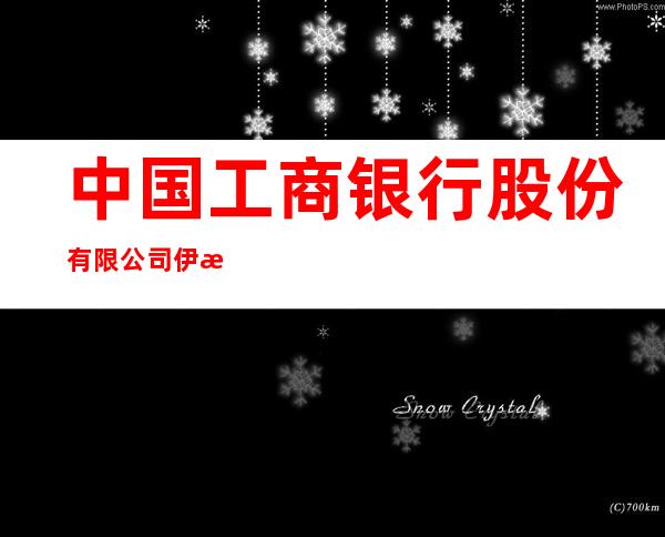 中国工商银行股份有限公司伊春汤旺河支行