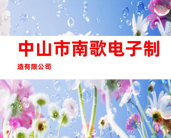 中山市南歌电子制造有限公司