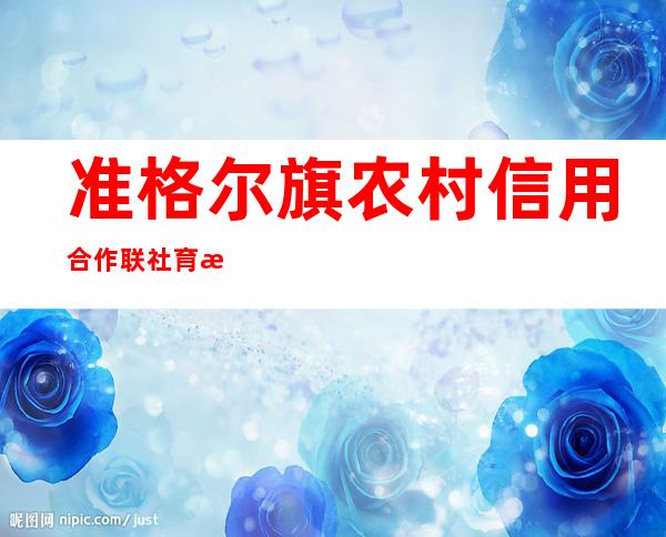 准格尔旗农村信用合作联社育才街二分社