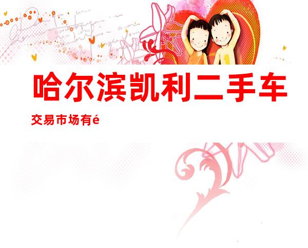 哈尔滨凯利二手车交易市场有限公司