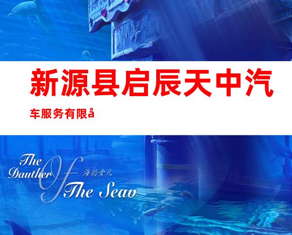 新源县启辰天中汽车服务有限公司