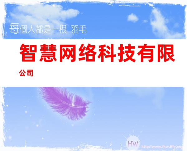 智慧网络科技有限公司