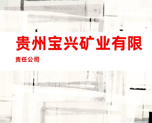 贵州宝兴矿业有限责任公司
