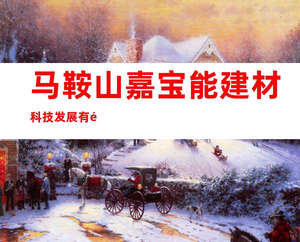 马鞍山嘉宝能建材科技发展有限公司市场部